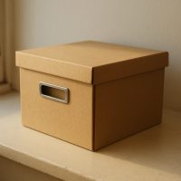 Caja de archivo 10 litros